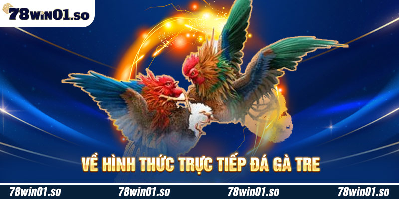 Về trực tiếp đá gà tre