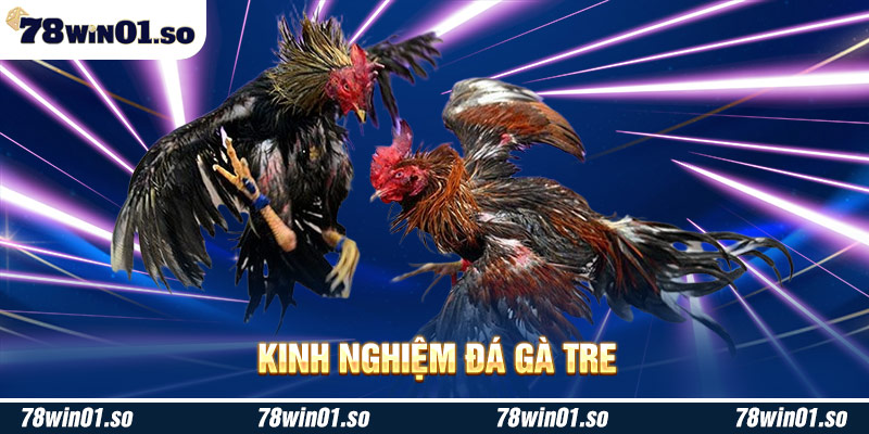 Kinh nghiệm đá gà tre