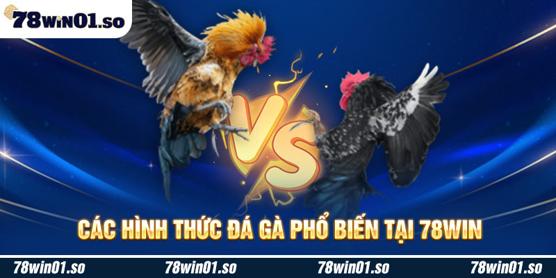 Các hình thức đá gà phổ biến tại 78Win