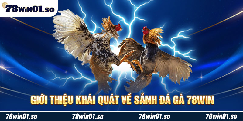 Giới thiệu khái quát về sảnh đá gà 78Win