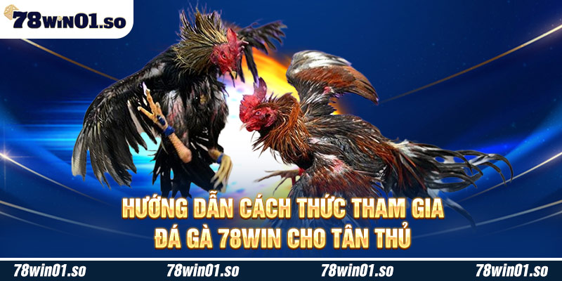 Hướng dẫn cách thức tham gia đá gà 78Win cho tân thủ