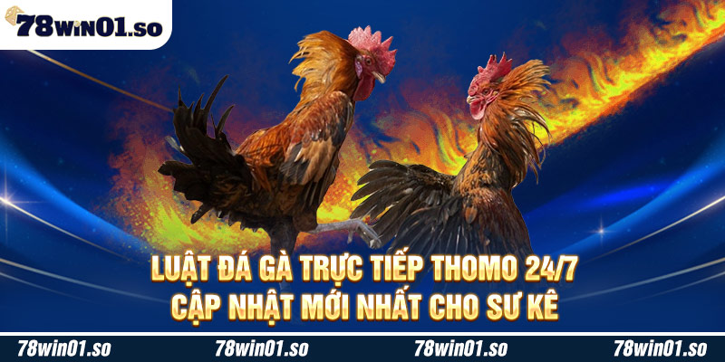 Luật đá gà trực tiếp Thomo 24/7 cập nhật mới nhất cho sư kê