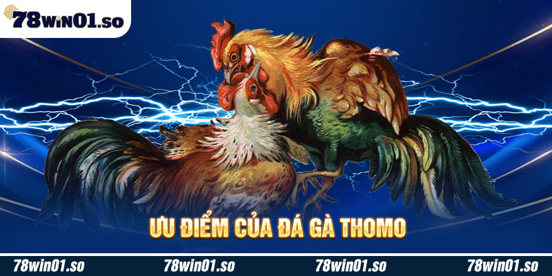 Ưu điểm của đá gà Thomo 