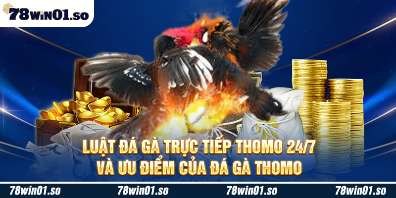 Đá gà trực tiếp thomo 24/7